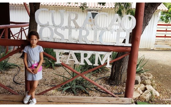 Ostrich Farm Curacao