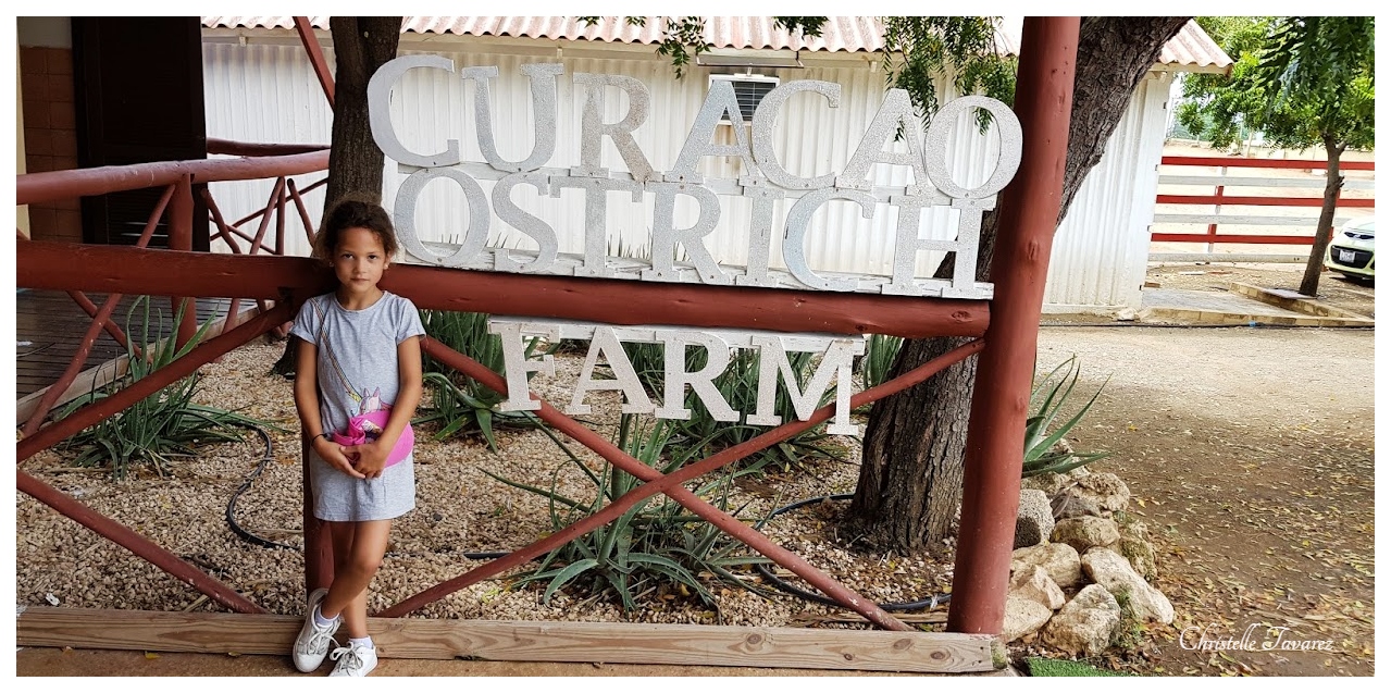 Ostrich Farm Curacao