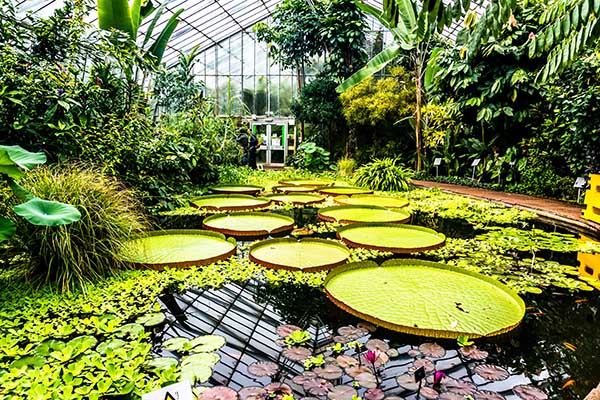 Botanical Garden in Curacao