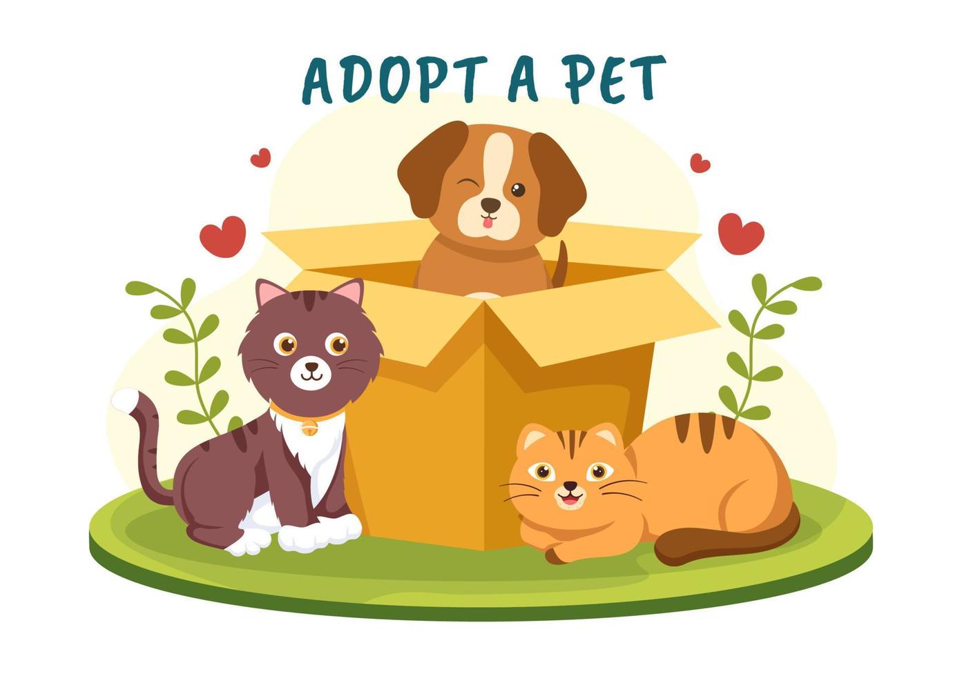 Animal Shelter In Curacao