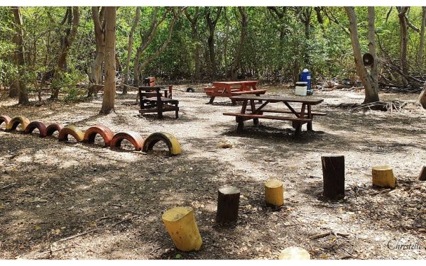 Kabouter Bos