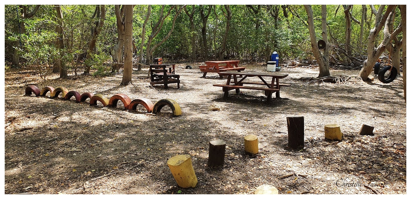 Kabouter Bos